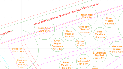 Screenshot of forest garden CAD plan