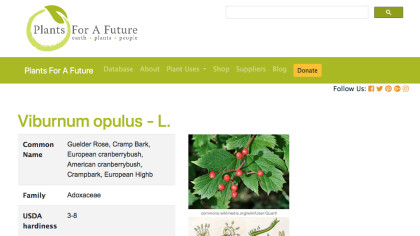 Screenshot of Plants For A Future website