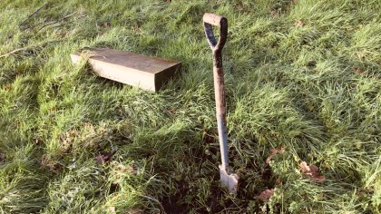 Planting spade upright in grass