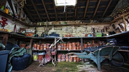 Polytunnel & nursery area