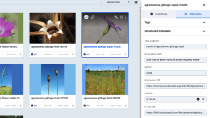 Screenshot of flower image database