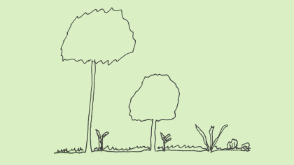 Forest garden layers