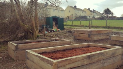 Raised beds on old council housing plot
