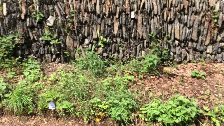 Blurry vertical slate wall