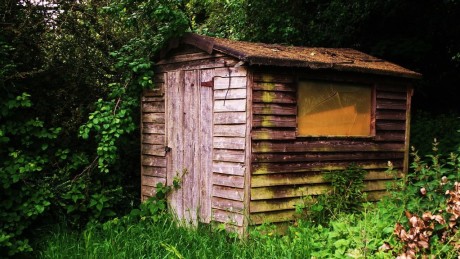 Old shed