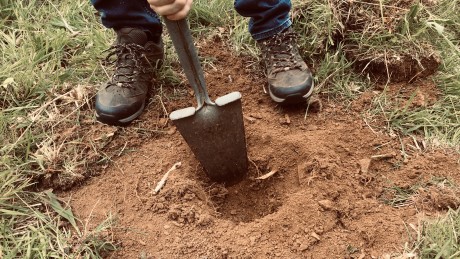 Digging spade in dry soil