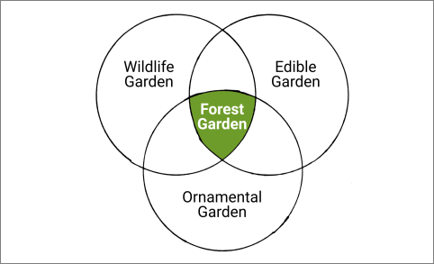 Venn diagram — wildlife, edible & ornamental, intersecting in forest garden
