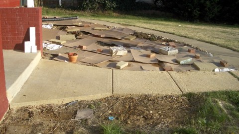 Cardboard mulch next to path