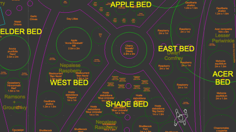 CAD plan of forest garden