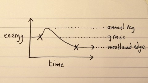 Illustration showing energy bump