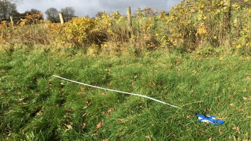 Measuring tape extended on grass