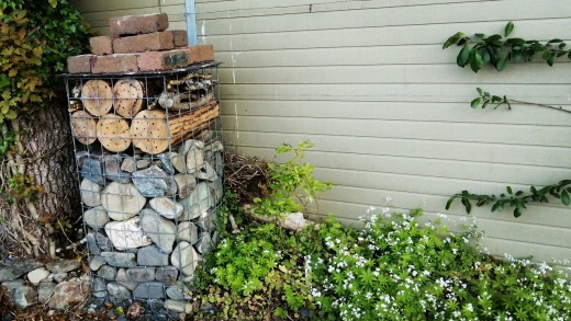 Gabions by fence