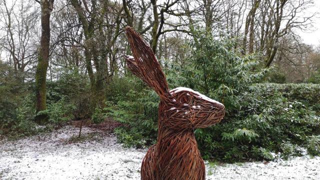 Oversized willow sculpture of hare, with snow on its head