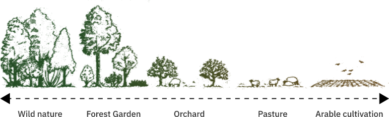 Illustration of climax vegetations & position of forest garden by wild wood