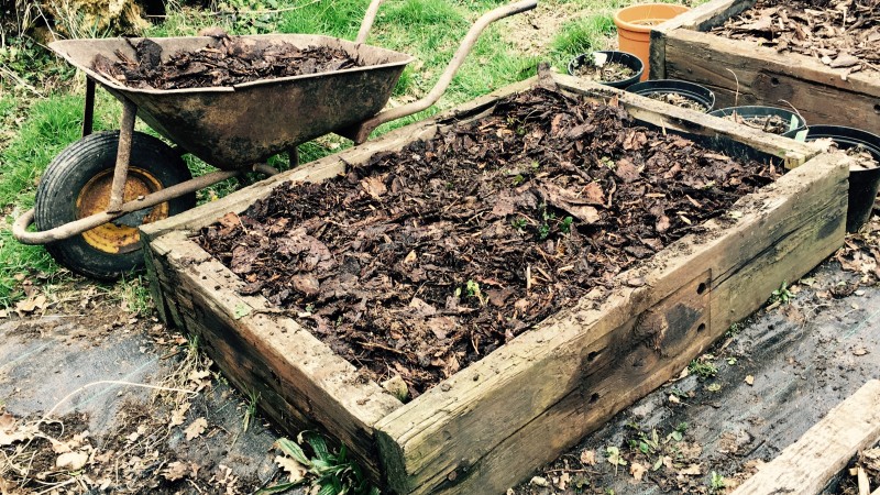 Raised bed