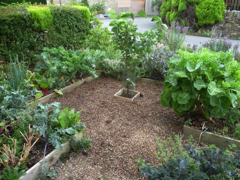 Square edged wood chip paths in small forest garden