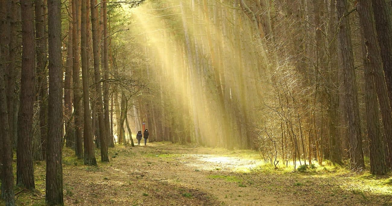 forest path with couple walking at sunset | Nowaja, via Pixabay
