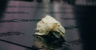 a white rose on a black memorial stone