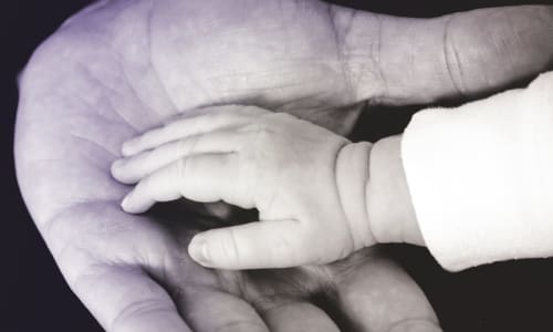 closeup of man holding child's hand