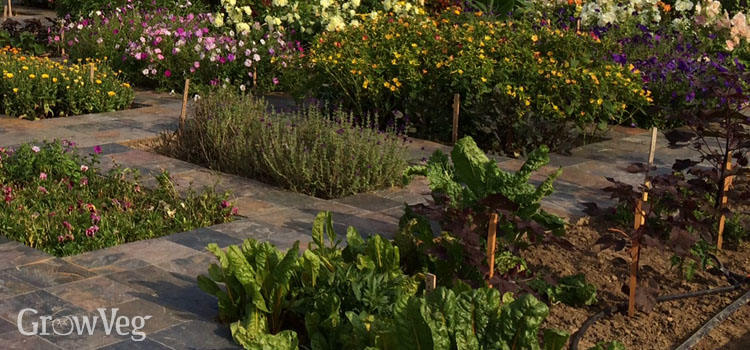 garden planning