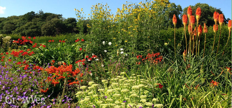 bee friendly garden planner