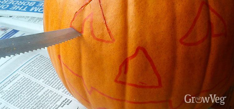 Pumpkin Carving Tips & Tricks: Easy Ways to Create Amazing Halloween ...