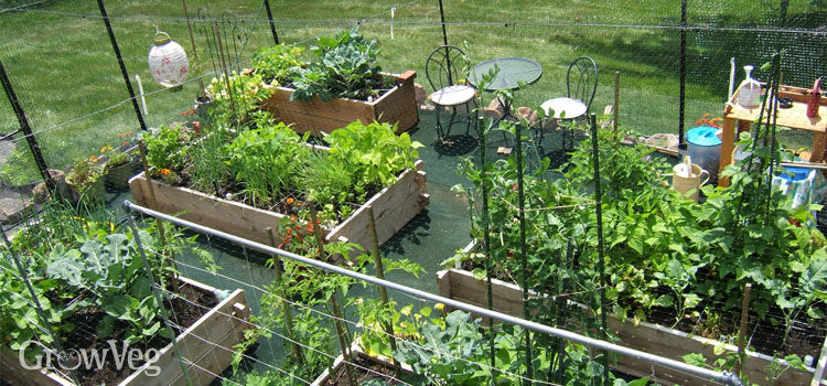Vegetable Garden Design Choosing The Right Layout For Your Garden Mesmerizing Vegetable Garden Design Raised Beds Vegetable Garden Design Choosing The Right Layout For Your Garden Mesmerizing Vegetable Garden Design Raised Beds