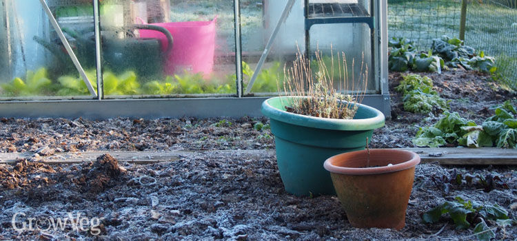 Growing Under Cover All Year Round