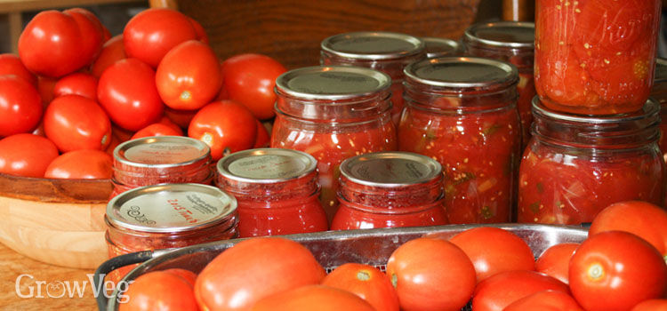 Choosing Tomatoes for Freezing, Drying and Canning