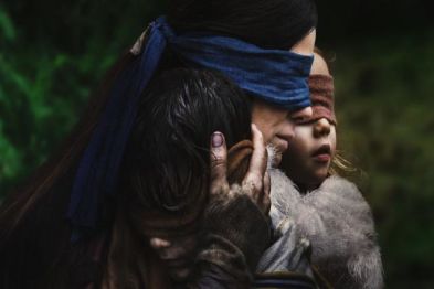 Wat is de Bird Box Challenge?