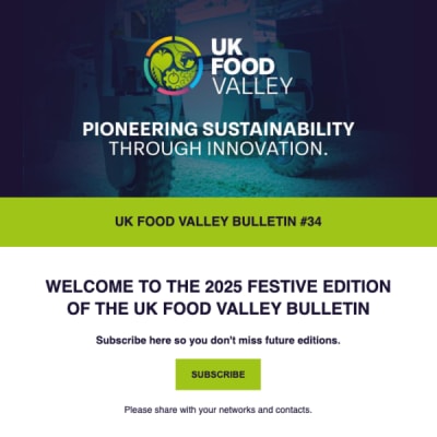Festive 2025