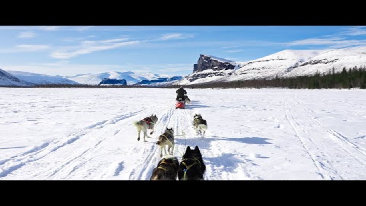 Surviving on a Dogsled Through the Arctic