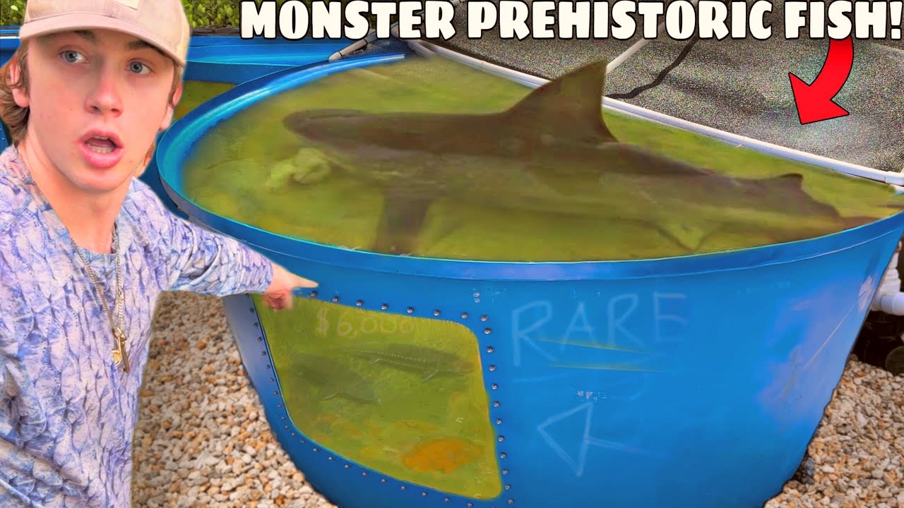 I Bought a PREHISTORIC Pond Monster!