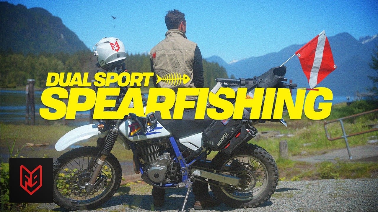 Dual Sports, Spearfishing, and Fish Tacos |  Adventures