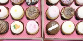 Insomnia Cookies Delivery 502 E John St Champaign Order Online