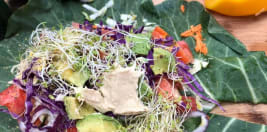 Seed To Table Vegan Eatery Delivery 2357 S Tamiami Trail Venice Order Online With Grubhub Seed To Table Vegan Eatery Delivery 2357 S Tamiami Trail Venice Order Online With Grubhub