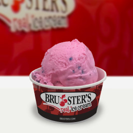 bruster ice cream near me