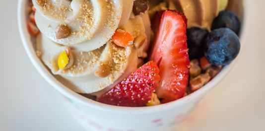 Frozen sales yogurt delivery