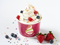 van nuys frozen yogurt van nuys frozen yogurt
