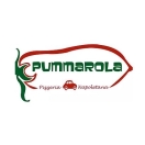 Pummarola Pizza Coral Gables Menu