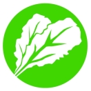 Baygreens Salads & More Menu