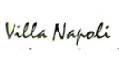 Villa Napoli Pizzeria Menu