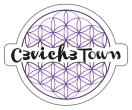 Ceviche Town Menu