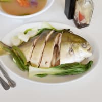 Bacolod Chicken Haus Menu Chicago Il Restaurant