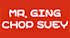 Mr. Ging Chop Suey