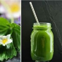 Erdbeer Smoothie Rezept