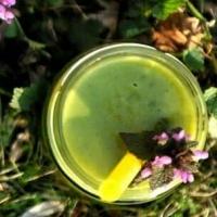 Kurkuma Smoothie Rezept