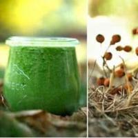 Pflaumen Smoothie