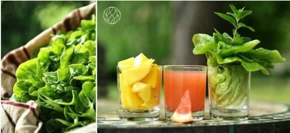 Mango Smoothie Mango Smoothie