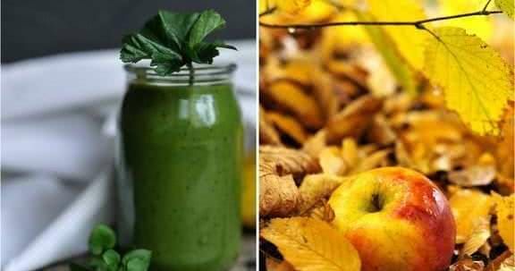 Apfel Smoothie Apfel Smoothie